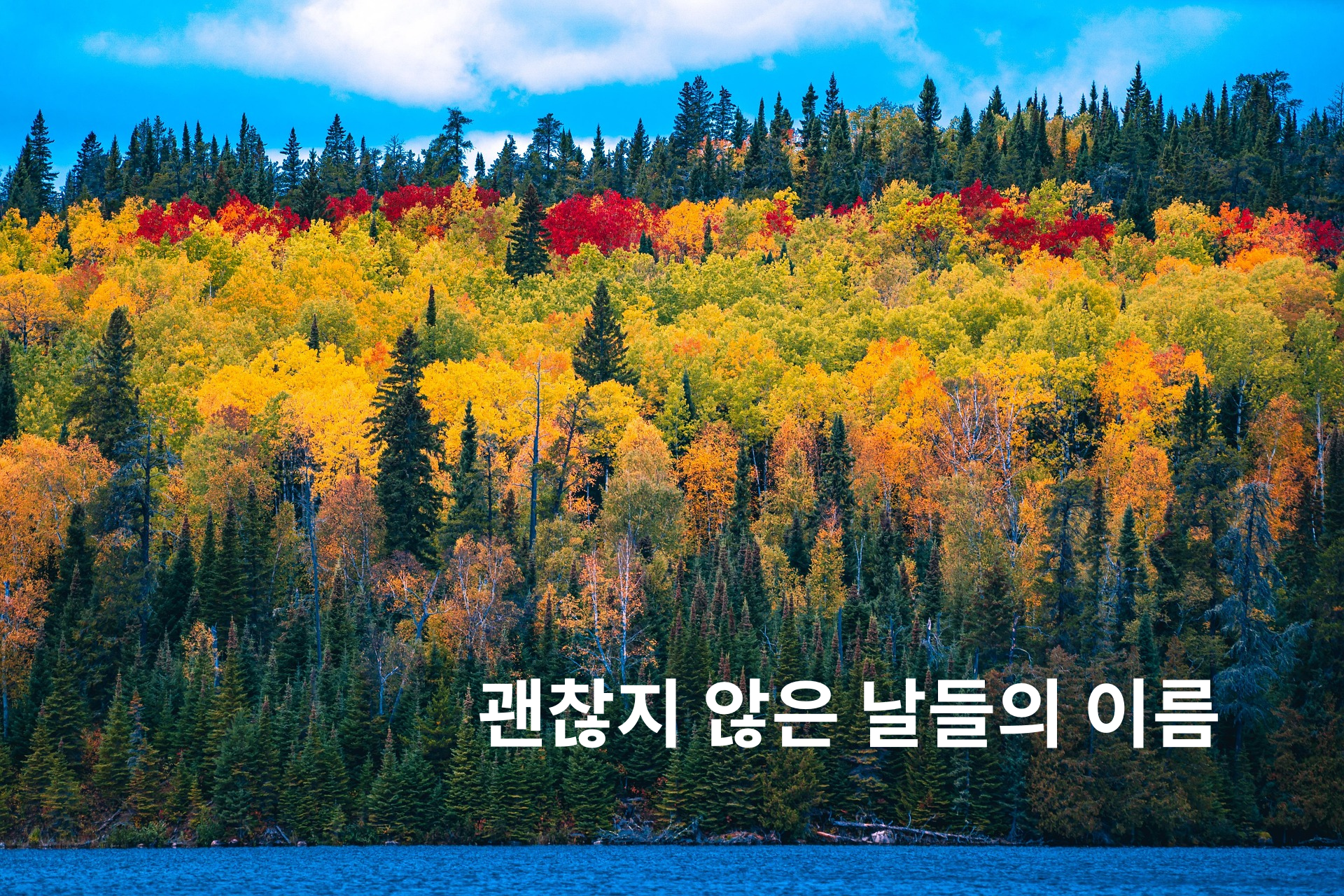 괜찮지 않은 날들의 이름