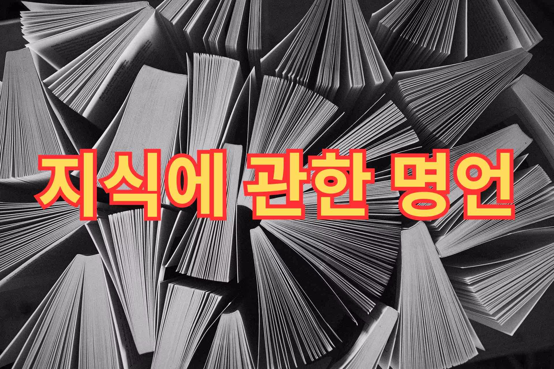 지식에 관한 명언